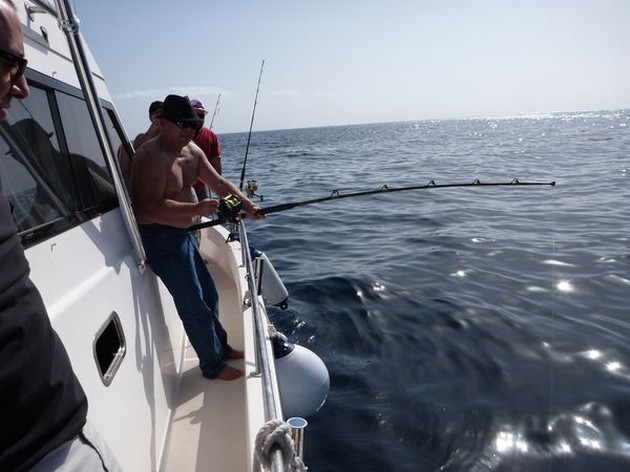 Hooked Up Cavalier & Blue Marlin Sport Fishing Gran Canaria