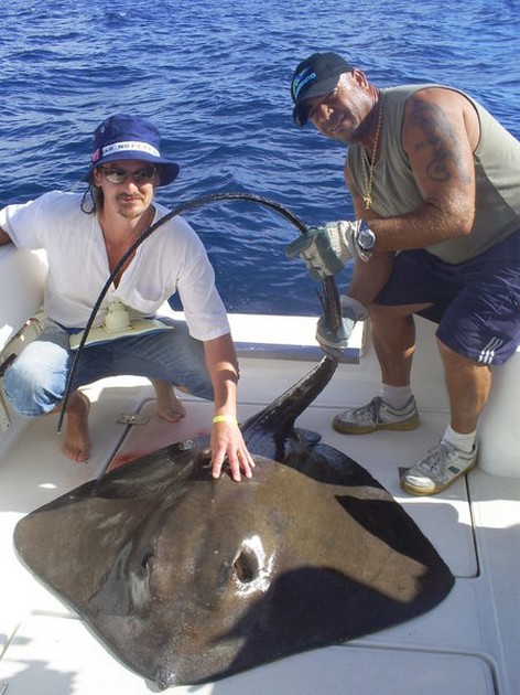 Tunga stingrays Cavalier & Blue Marlin Sport Fishing Gran Canaria