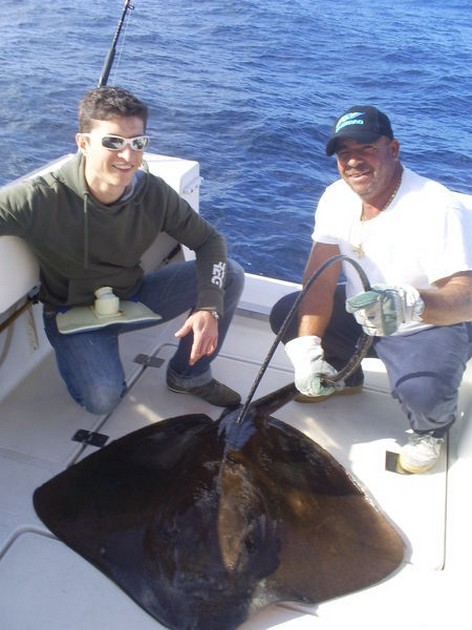 18/01 Common Stingray Cavalier & Blue Marlin Sport Fishing Gran Canaria