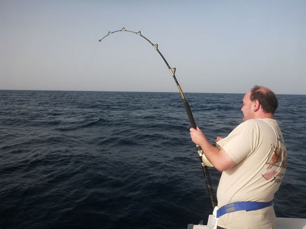 Stolt Cavalier & Blue Marlin Sport Fishing Gran Canaria