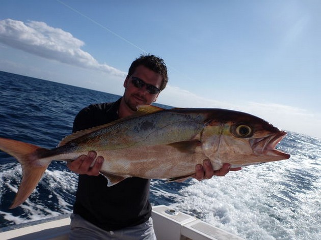 21/01 Amberjack Cavalier & Blue Marlin Sport Fishing Gran Canaria