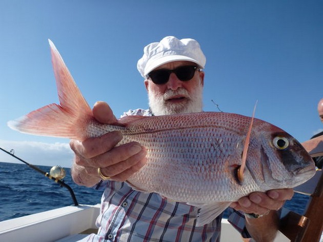 Red Snappers Cavalier & Blue Marlin Sport Fishing Gran Canaria
