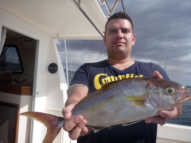 Amberjack Cavalier & Blue Marlin Sport Fishing Gran Canaria