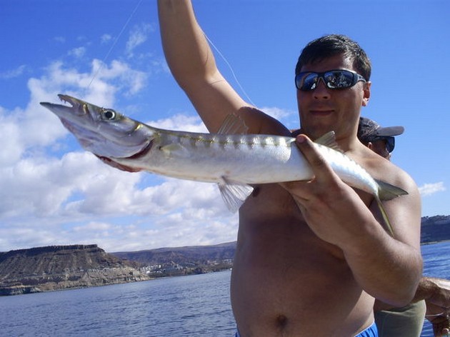 Barracuda Cavalier & Blue Marlin Sport Fishing Gran Canaria