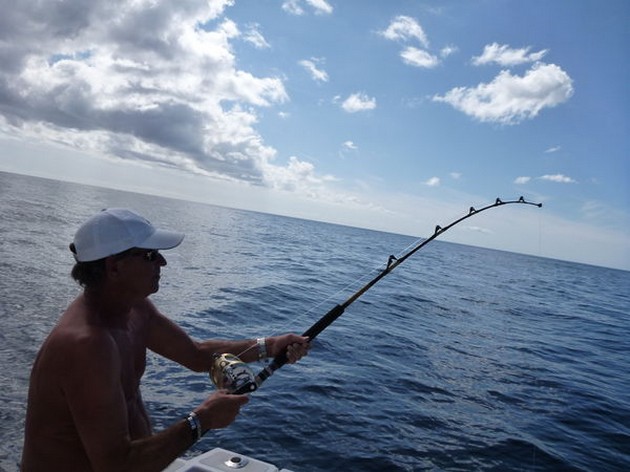  - Cavalier & Blue Marlin Sport Fishing Gran Canaria