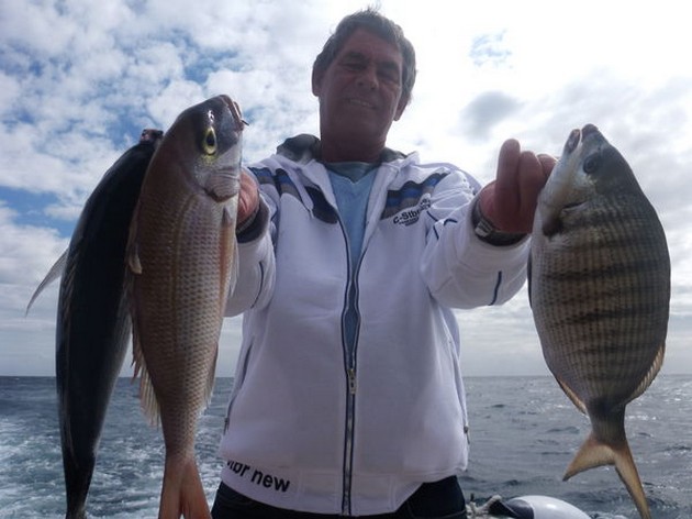 Nice Catch Cavalier & Blue Marlin Sport Fishing Gran Canaria