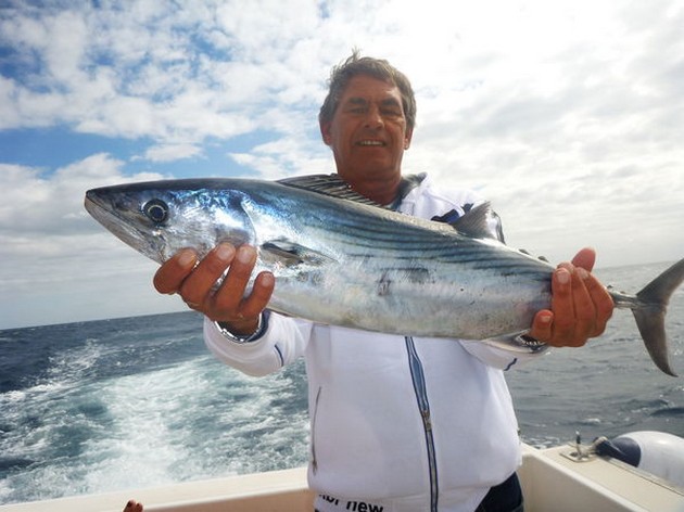Atlantic Sierra Tuna Cavalier & Blue Marlin Sport Fishing Gran Canaria