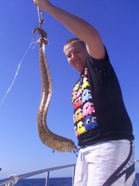 Moray Eel Cavalier & Blue Marlin Sport Fishing Gran Canaria
