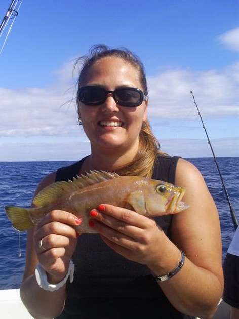 Comber Cavalier & Blue Marlin Sport Fishing Gran Canaria