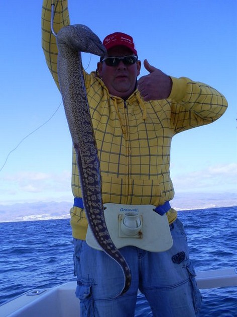 Tiger Moray Cavalier & Blue Marlin Sport Fishing Gran Canaria