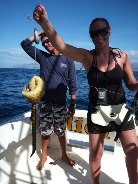 Tiger Moray Cavalier & Blue Marlin Sport Fishing Gran Canaria