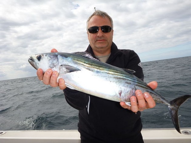 Atlantic Sierra Tuna Cavalier & Blue Marlin Sport Fishing Gran Canaria