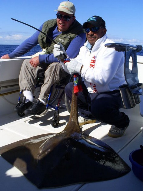 16/02 Common Stingray Cavalier & Blue Marlin Sport Fishing Gran Canaria