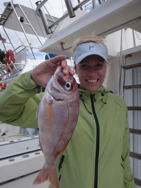 Red Snapper Cavalier & Blue Marlin Sport Fishing Gran Canaria