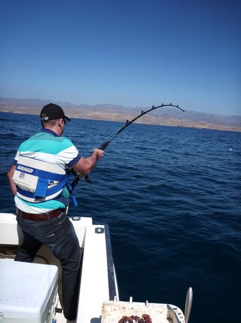 Hooked Up Cavalier & Blue Marlin Sport Fishing Gran Canaria