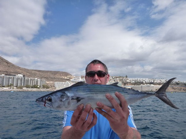 North Atlantic Bonito Cavalier & Blue Marlin Sport Fishing Gran Canaria