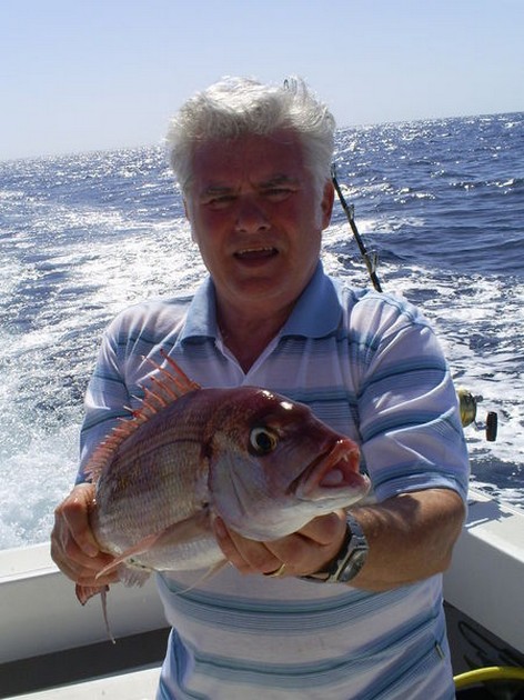 Red Snapper Cavalier & Blue Marlin Sport Fishing Gran Canaria