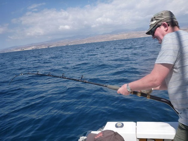 Sama de Pluma Cavalier & Blue Marlin Sport Fishing Gran Canaria