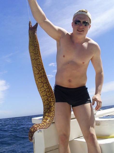 Tiger Moray Cavalier & Blue Marlin Sport Fishing Gran Canaria