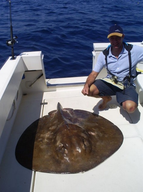 RUND STINGRAY Besättningen på EXPLORAMAR hade delat Cavalier & Blue Marlin Sport Fishing Gran Canaria