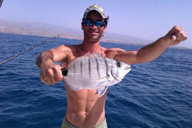 Seabream Cavalier & Blue Marlin Sport Fishing Gran Canaria