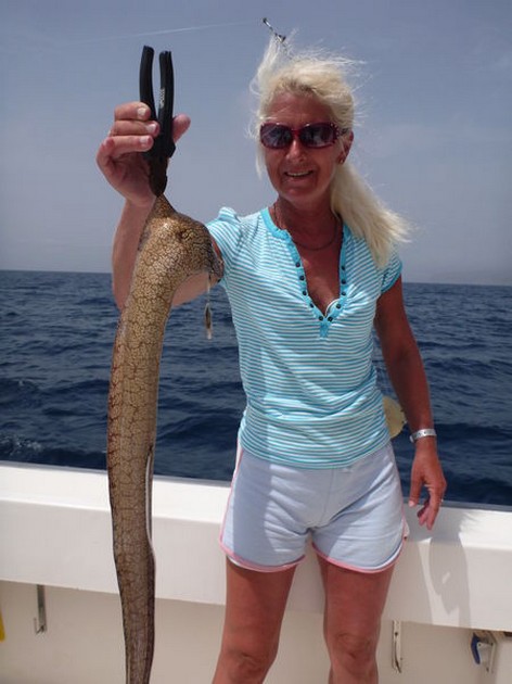 Moray Eel Cavalier & Blue Marlin Sport Fishing Gran Canaria