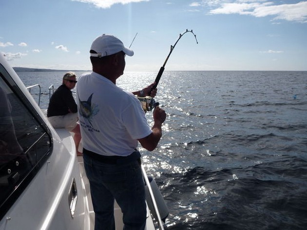 Hooked Up Cavalier & Blue Marlin Sport Fishing Gran Canaria