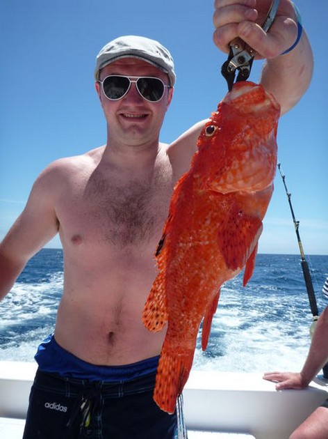25/04 Scorpion fish Cavalier & Blue Marlin Sport Fishing Gran Canaria