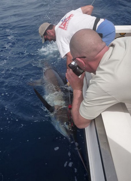 Release Me Cavalier & Blue Marlin Sport Fishing Gran Canaria