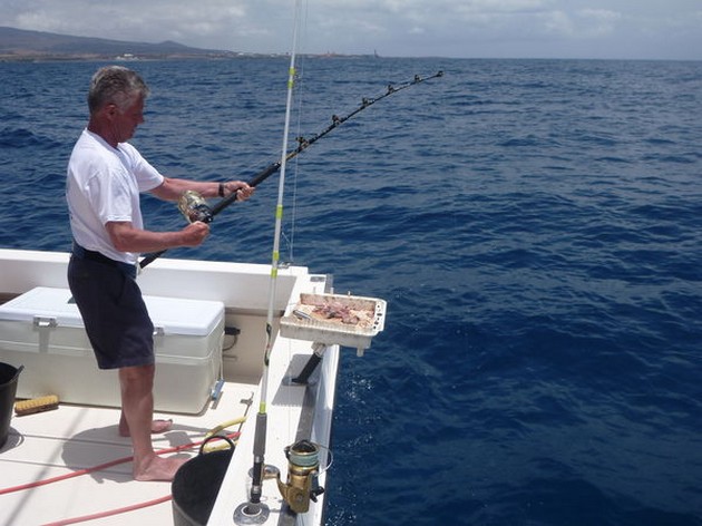 Hooked Up Cavalier & Blue Marlin Sport Fishing Gran Canaria