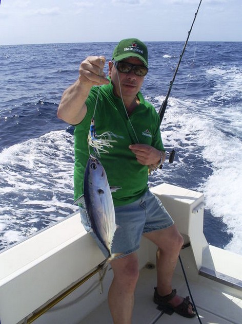 Skipjack Tuna Cavalier & Blue Marlin Sport Fishing Gran Canaria