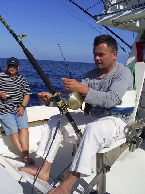 Hooked Up Cavalier & Blue Marlin Sport Fishing Gran Canaria