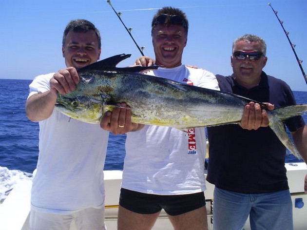 Dorado & Skipjacks Cavalier & Blue Marlin Sport Fishing Gran Canaria