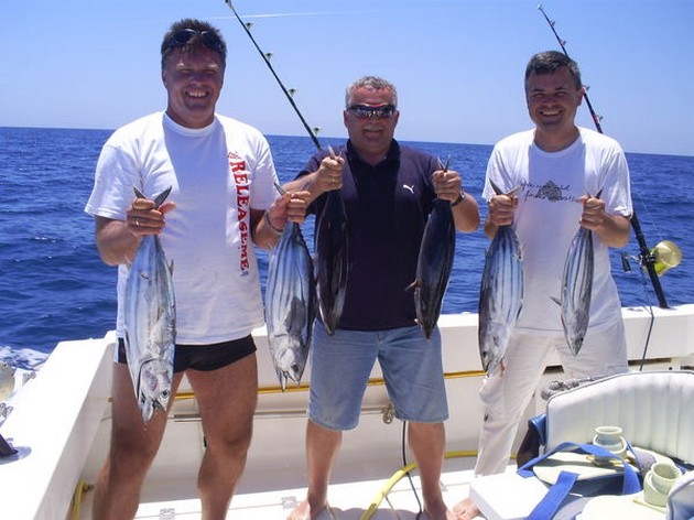 Skipjack Tuna's Cavalier & Blue Marlin Sport Fishing Gran Canaria