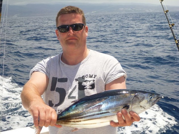 Skipjack Tuna Cavalier & Blue Marlin Sport Fishing Gran Canaria
