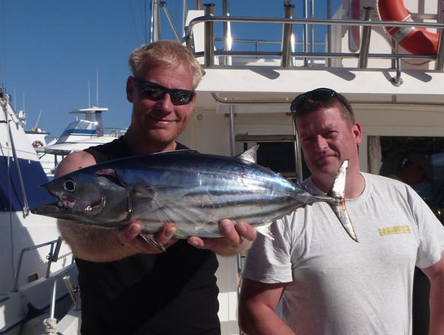 boat Cavalier Cavalier & Blue Marlin Sport Fishing Gran Canaria