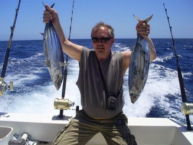 Skipjack Tuna Cavalier & Blue Marlin Sport Fishing Gran Canaria