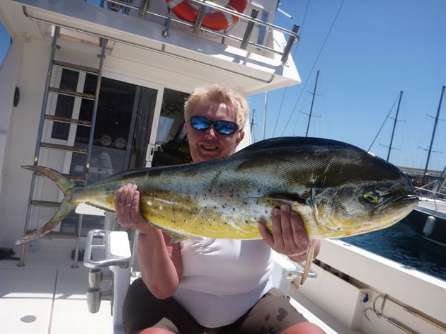Dorado Cavalier & Blue Marlin Sport Fishing Gran Canaria