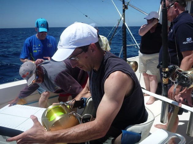 Hooked Up Cavalier & Blue Marlin Sport Fishing Gran Canaria