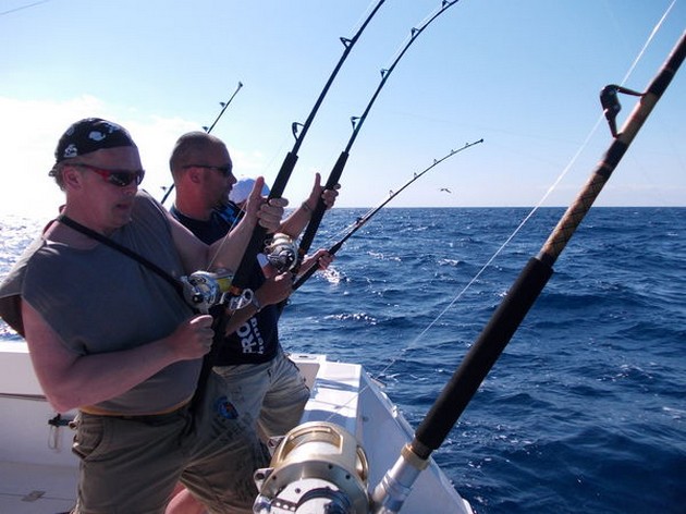 Hooked Up Cavalier & Blue Marlin Sport Fishing Gran Canaria