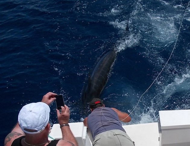 02/06 Blue Marlin Cavalier & Blue Marlin Sport Fishing Gran Canaria