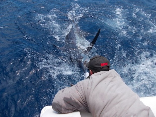 Release Me Cavalier & Blue Marlin Sport Fishing Gran Canaria