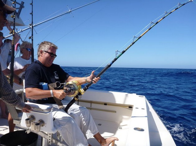 Hooked Up Cavalier & Blue Marlin Sport Fishing Gran Canaria