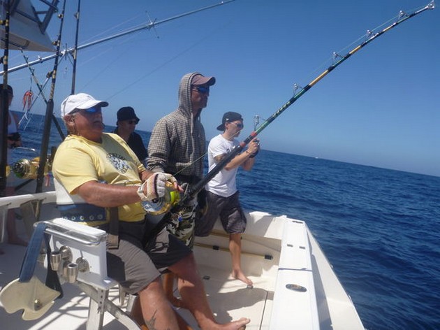 Hooked Up Cavalier & Blue Marlin Sport Fishing Gran Canaria