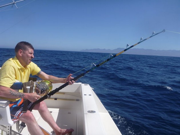 hooked up Cavalier & Blue Marlin Sport Fishing Gran Canaria