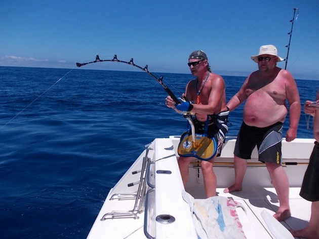 2 Blues Released Cavalier & Blue Marlin Sport Fishing Gran Canaria