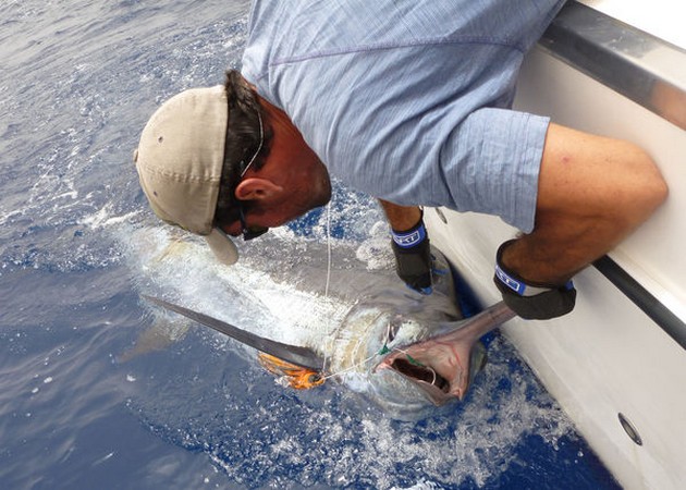 25/06 Blue Marlin Cavalier & Blue Marlin Sport Fishing Gran Canaria