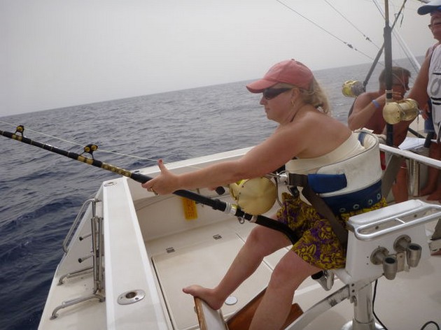 Hooked Up Cavalier & Blue Marlin Sport Fishing Gran Canaria