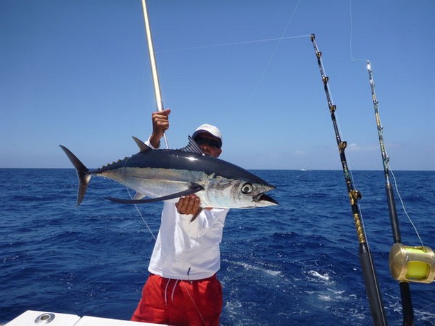 Albacore Tuna Cavalier & Blue Marlin Sport Fishing Gran Canaria