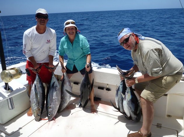 Albacores Cavalier & Blue Marlin Sport Fishing Gran Canaria